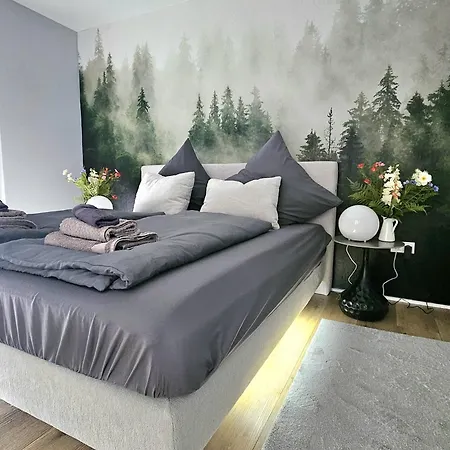 Moderne 3-zimmer-wohnung Mit Panoramablick ビーデンコプフ